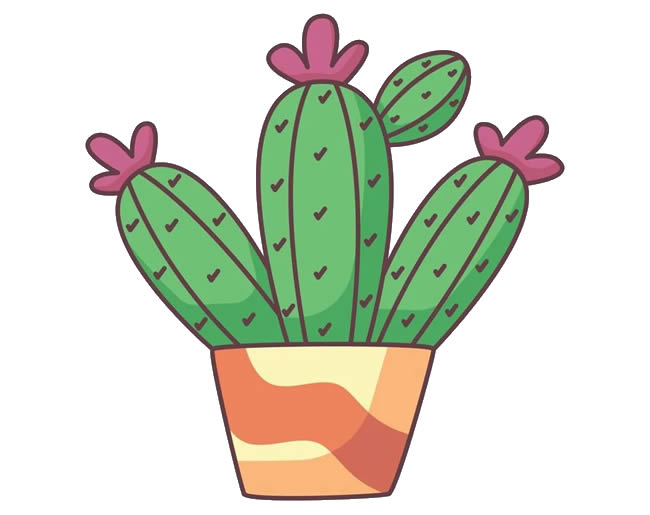 Riscos e Desenhos  Desenhos de Cactus e Suculentas