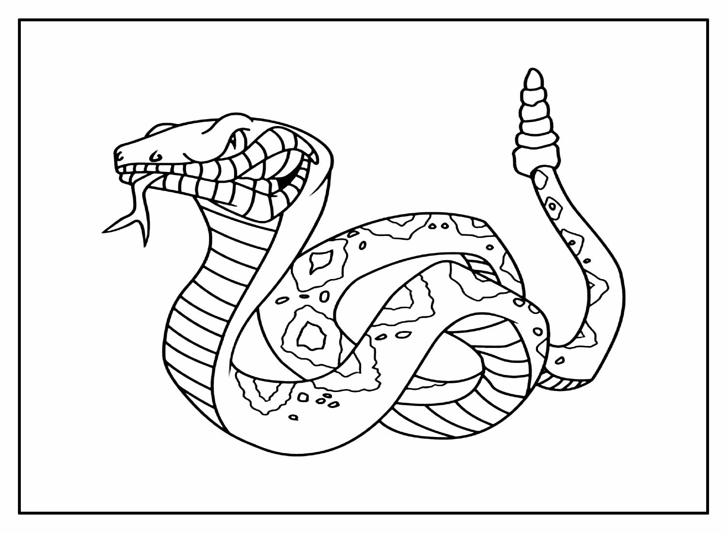 Desenhos Cobra Pintar