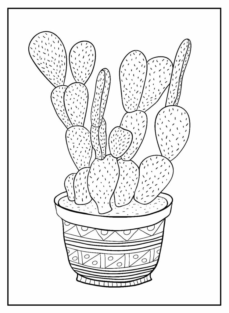 desenhos de cactos para colorir 72 em 2023