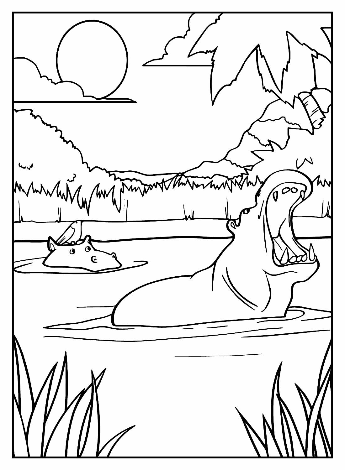 Desenhos para colorir Hipopótamo