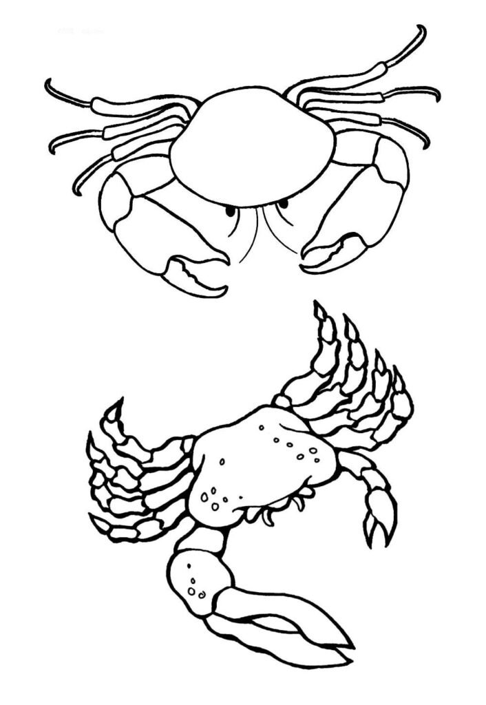 Desenho de Caranguejo para pintar e colorir