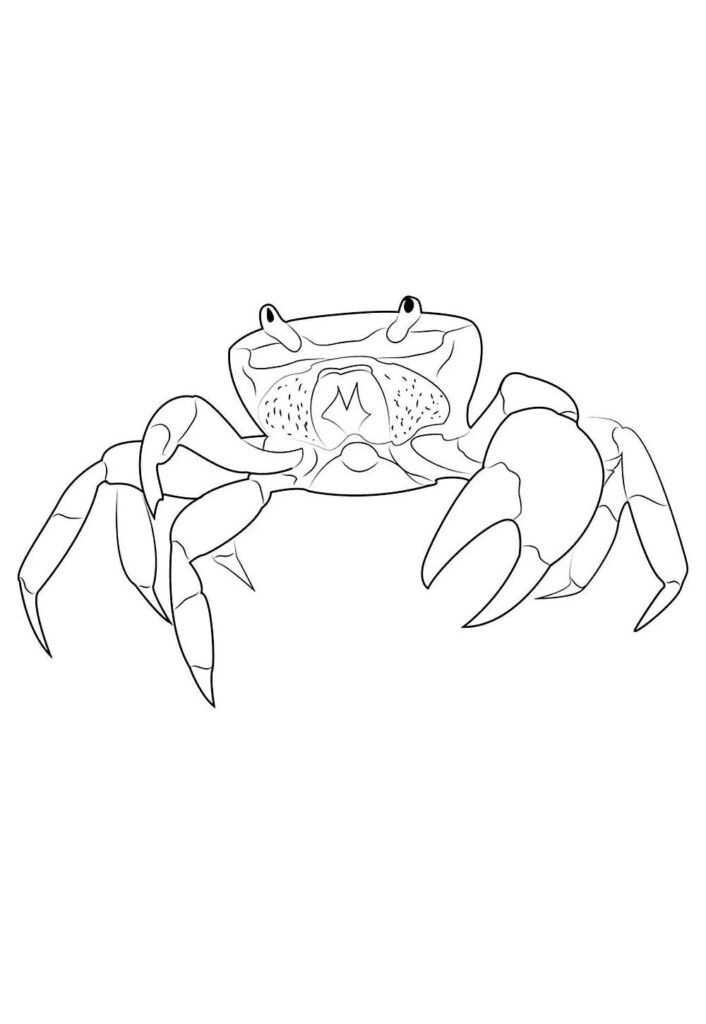 Caranguejo para colorir