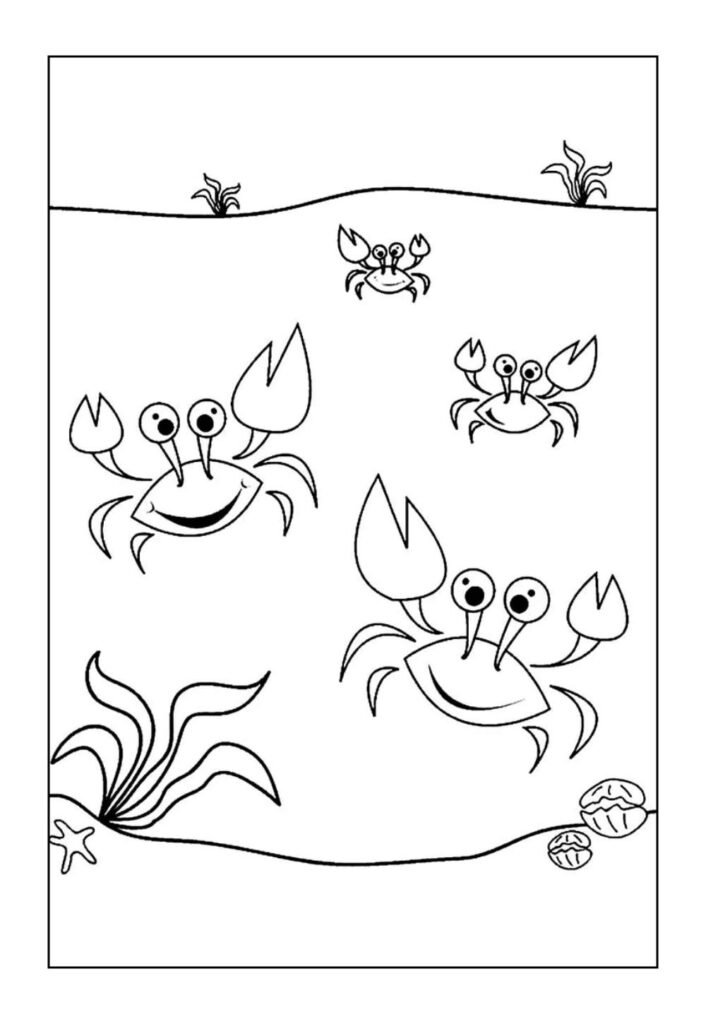 Desenho de Caranguejo para colorir