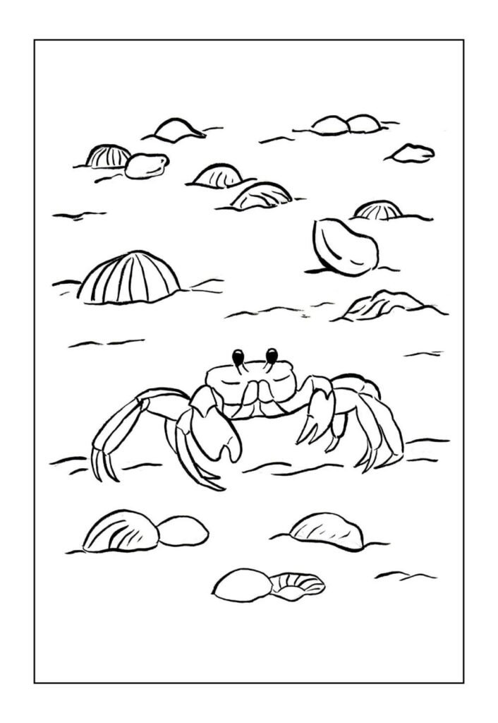 Desenho de Caranguejo para pintar