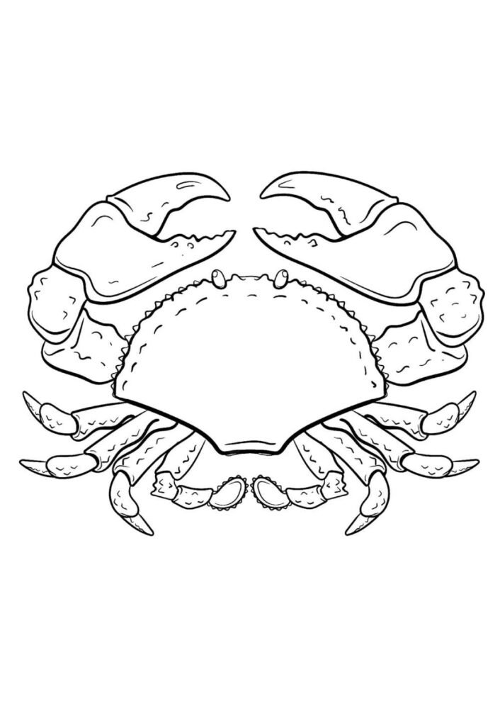 Desenho de Caranguejo para colorir