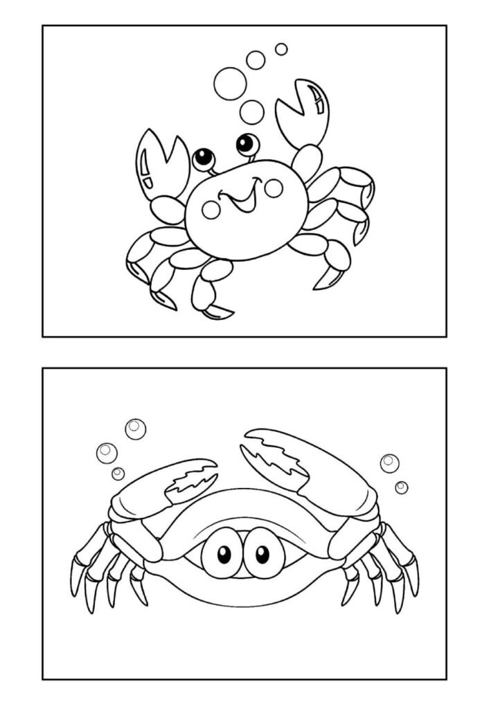 Desenhos de Caranguejo