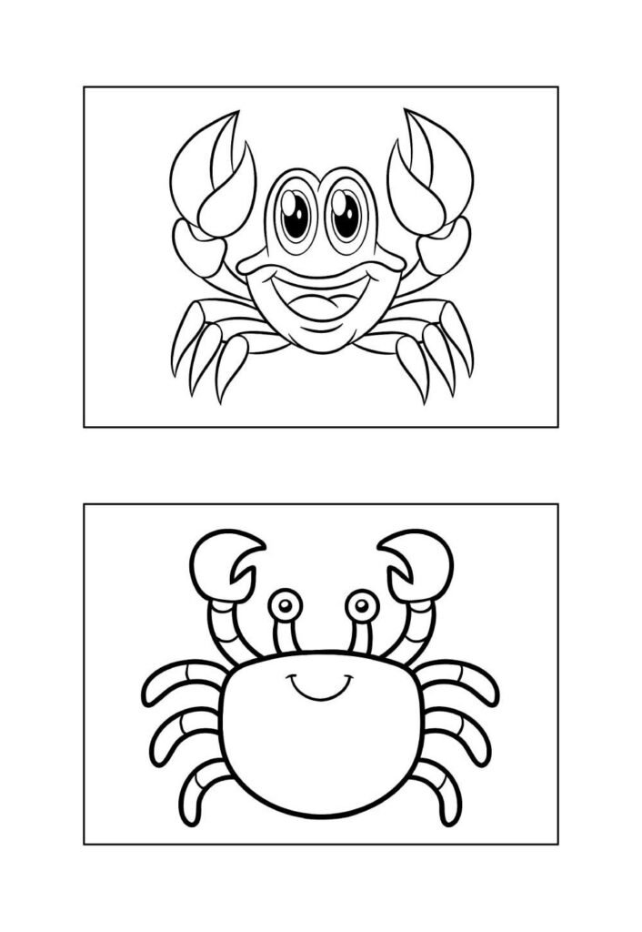 Desenhos de Caranguejo para colorir