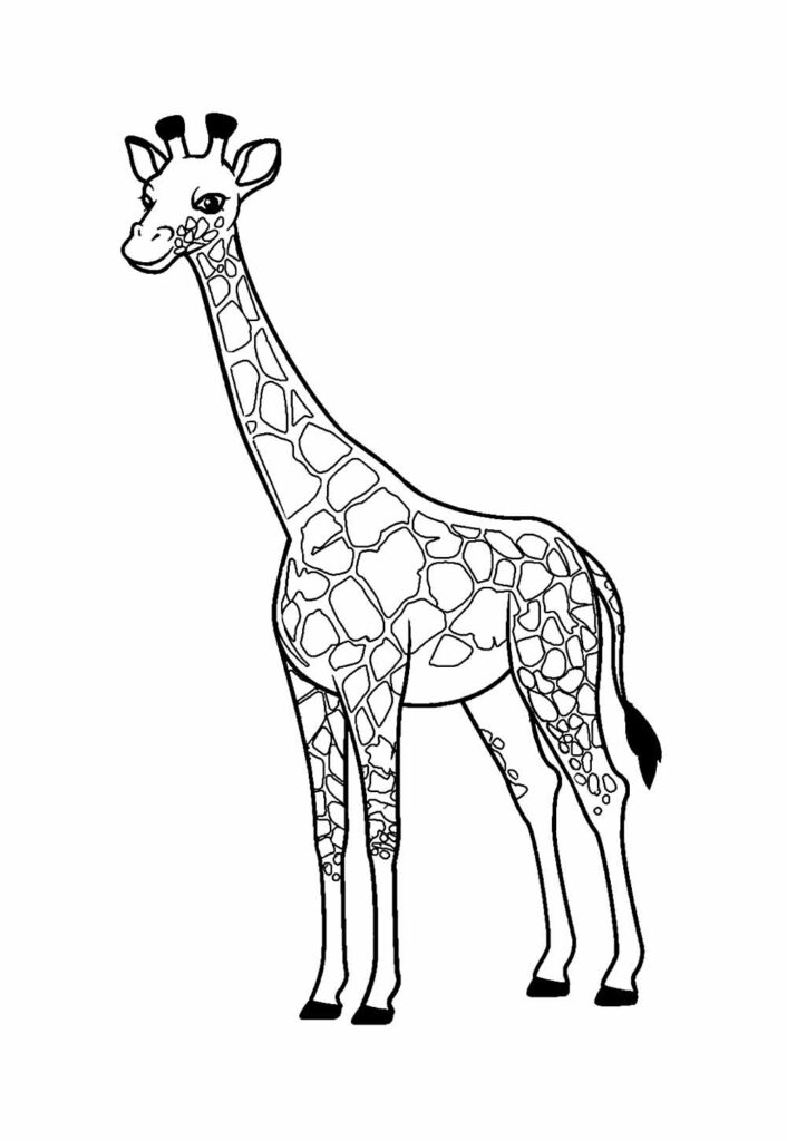 Desenho de Girafa