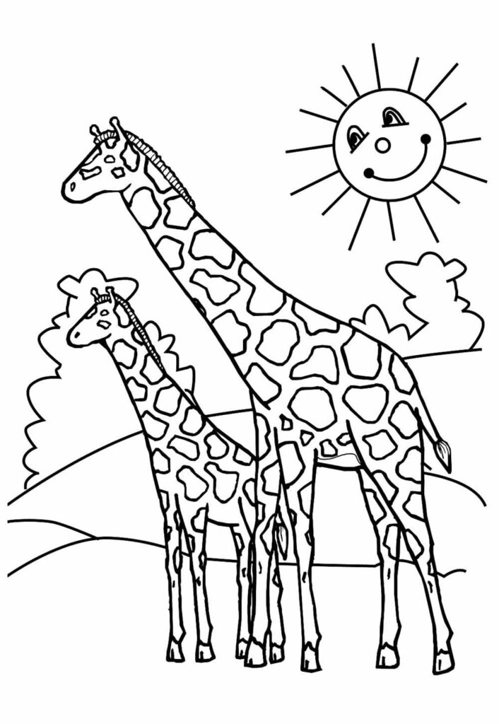 Desenho de Girafa para colorir