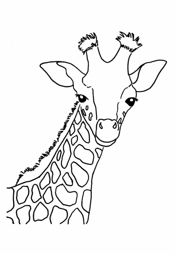 Desenhos de Girafa