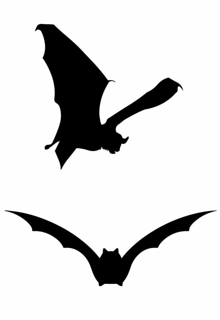 Moldes de Morcego para Imprimir
