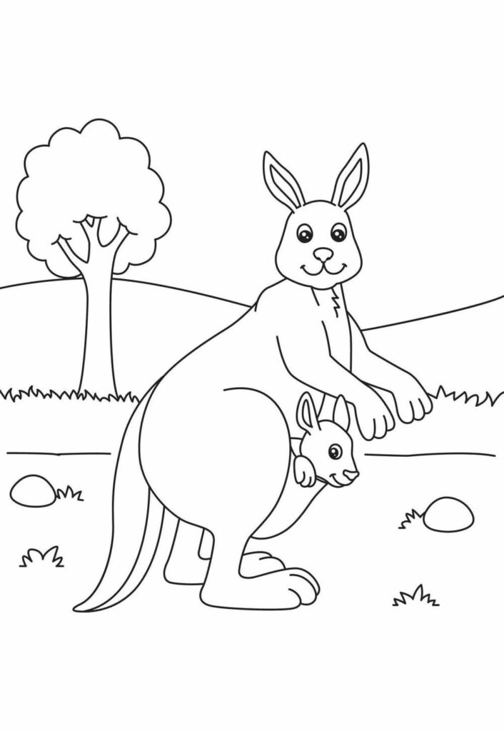 Canguru para colorir Desenhos