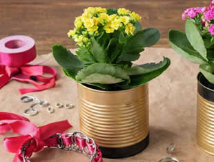 Artesanato com Reciclagem