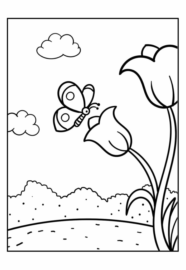 Desenhos Natureza Colorir