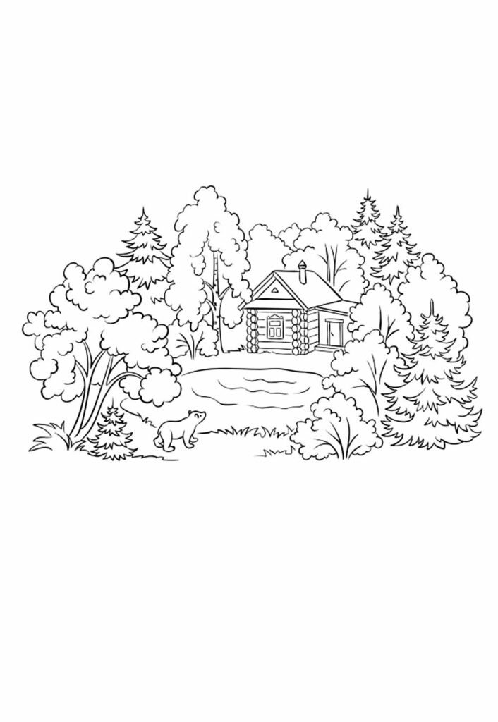 Desenho Natureza