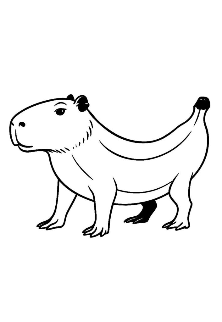 Desenhos Tralalero Tralala para pintar