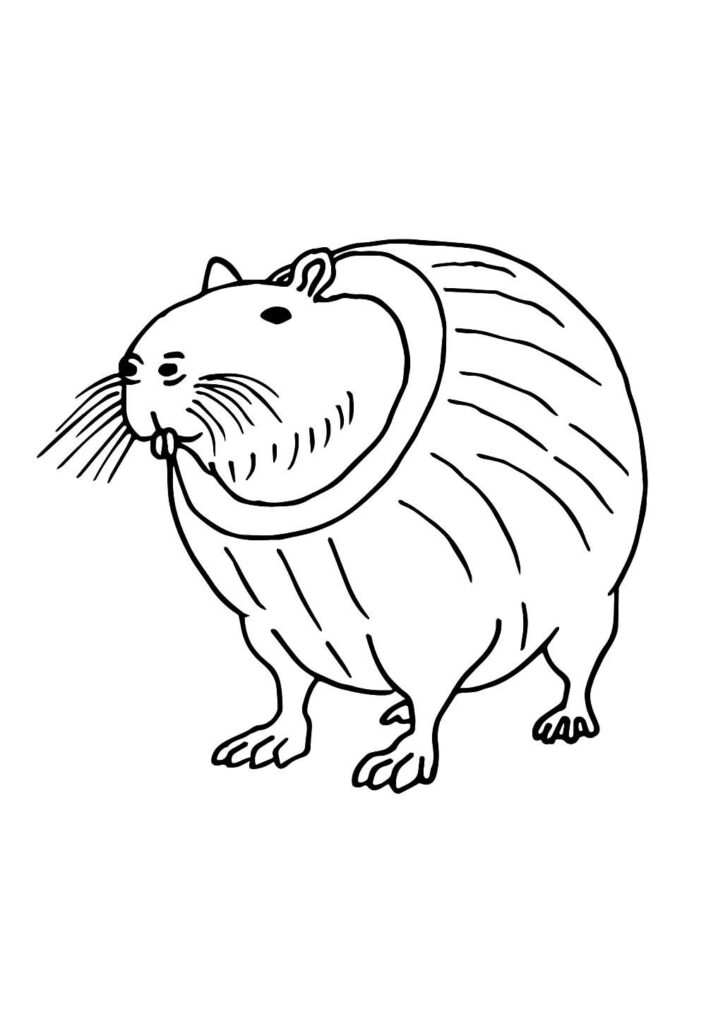 Desenho de Tralalero Tralala para colorir