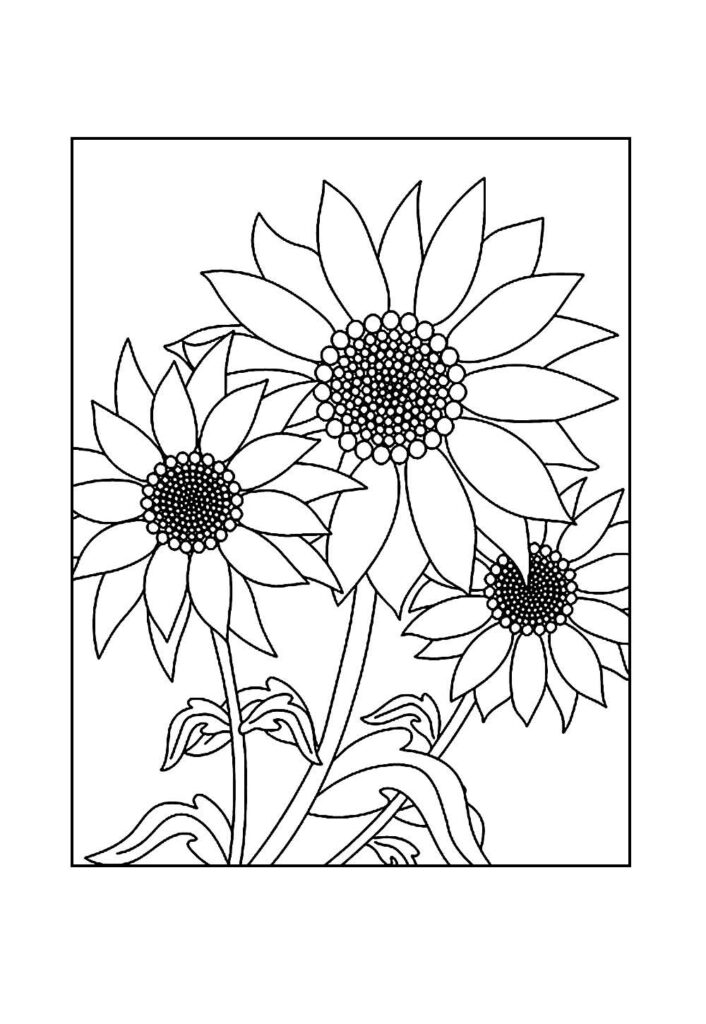 Desenho de Girassol para pintar