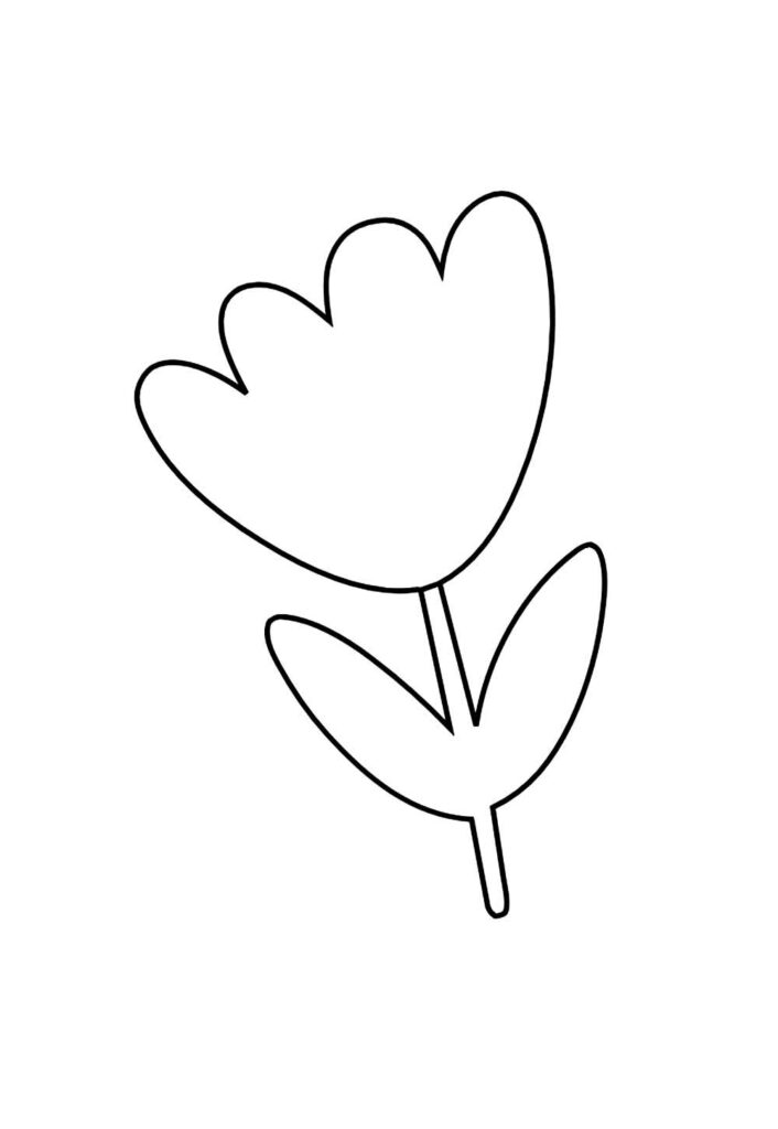 Modelo de Flor