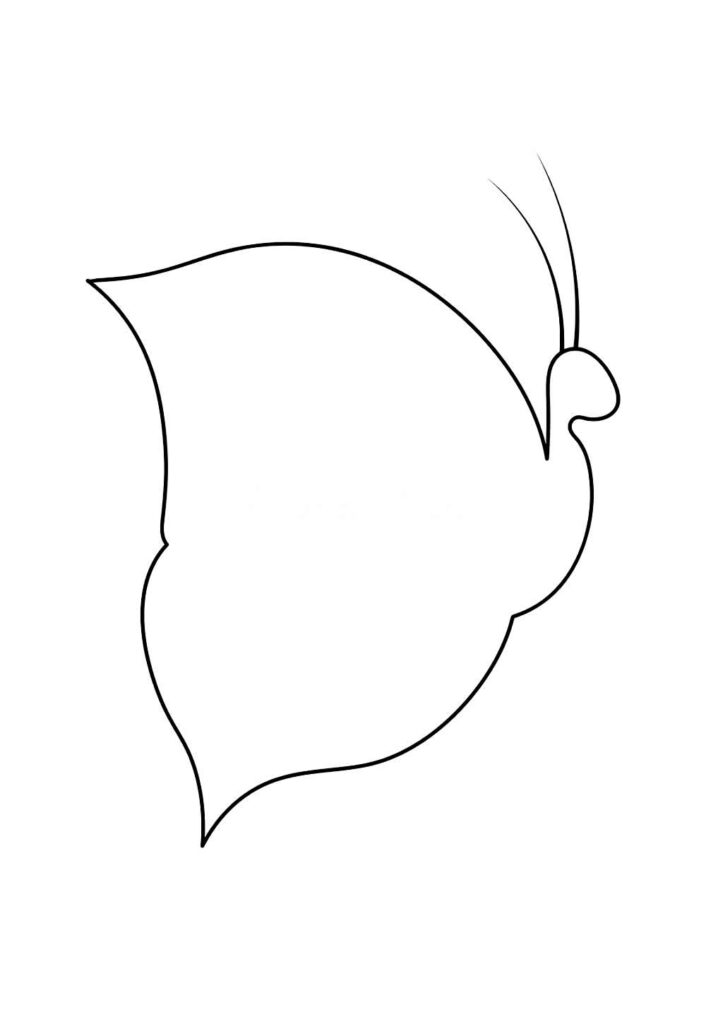 Moldes de Borboleta