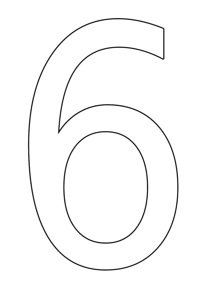 Molde de 6