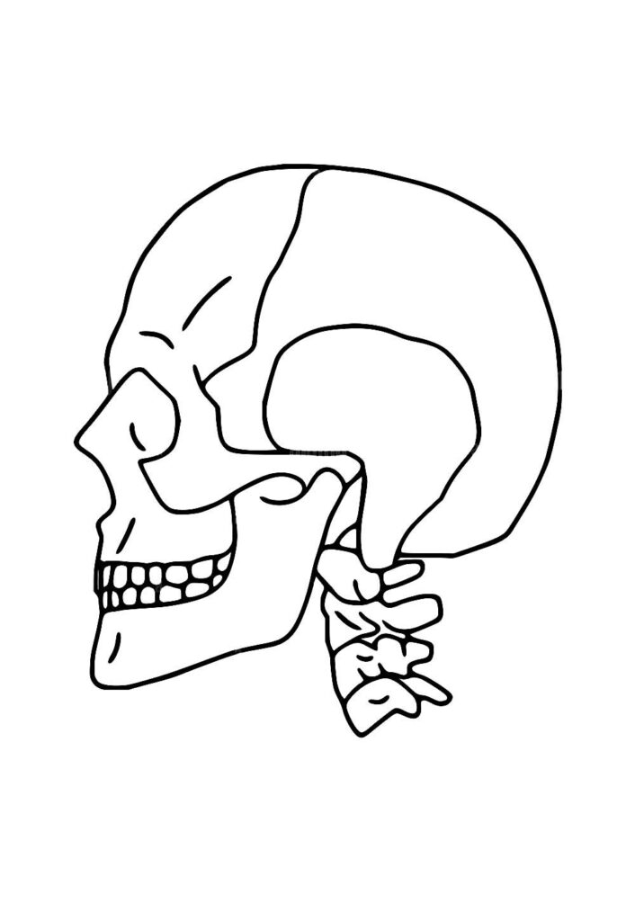 Desenho Caveira Pintar