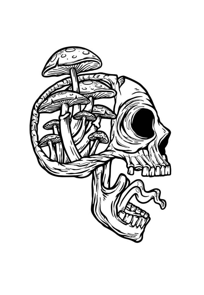 Desenho Caveira Colorir