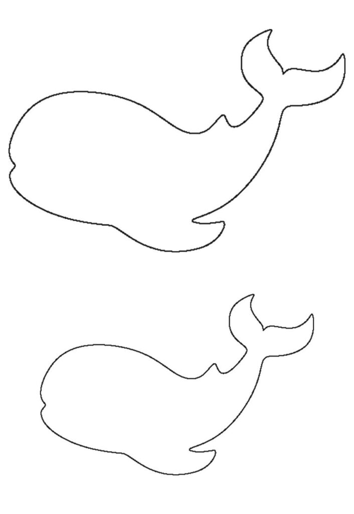 Molde de Baleia