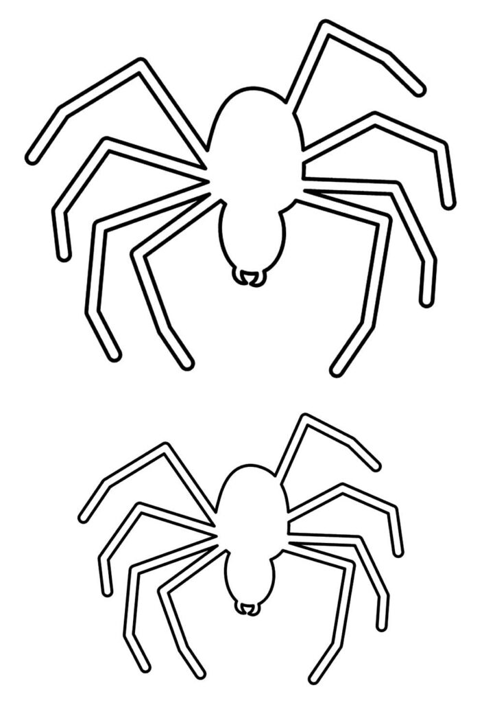 Moldes de Aranhas
