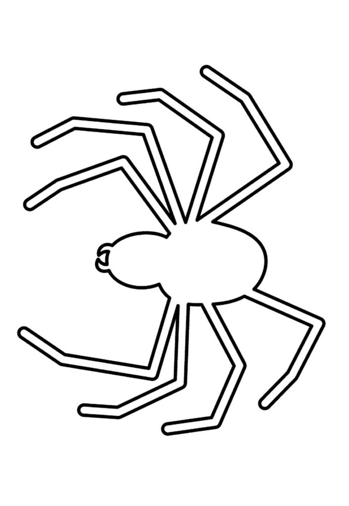 Molde de Aranha