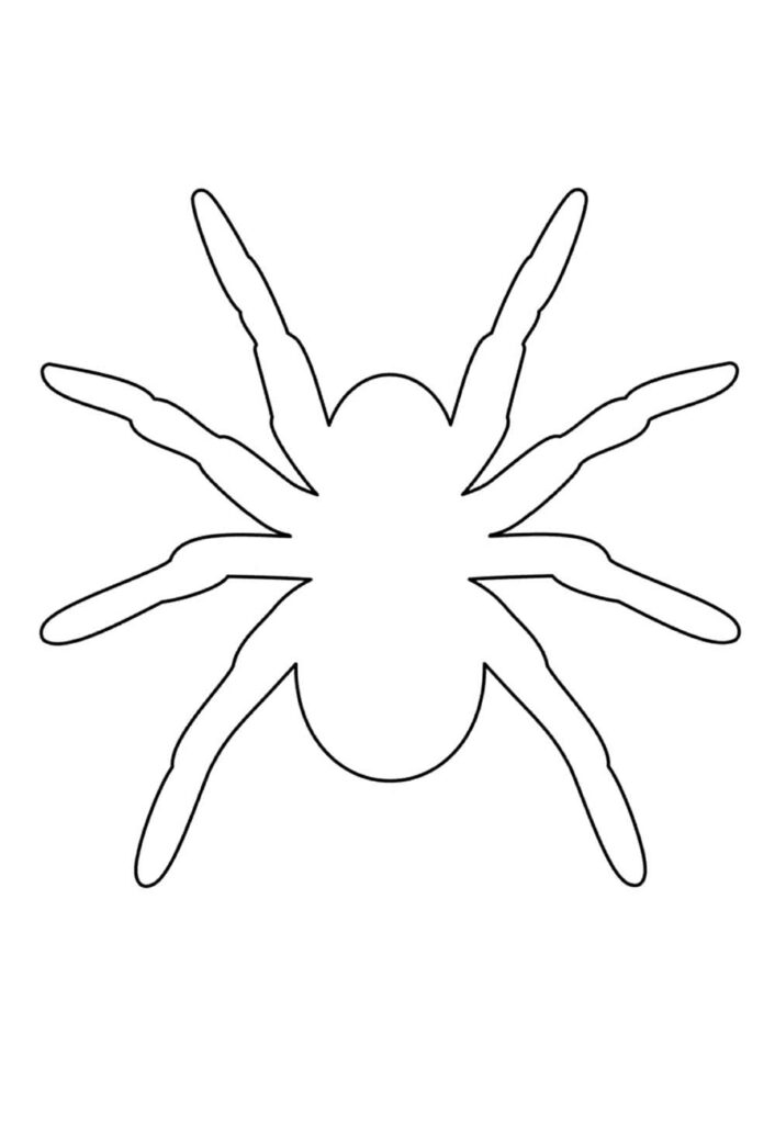 Molde de Aranha
