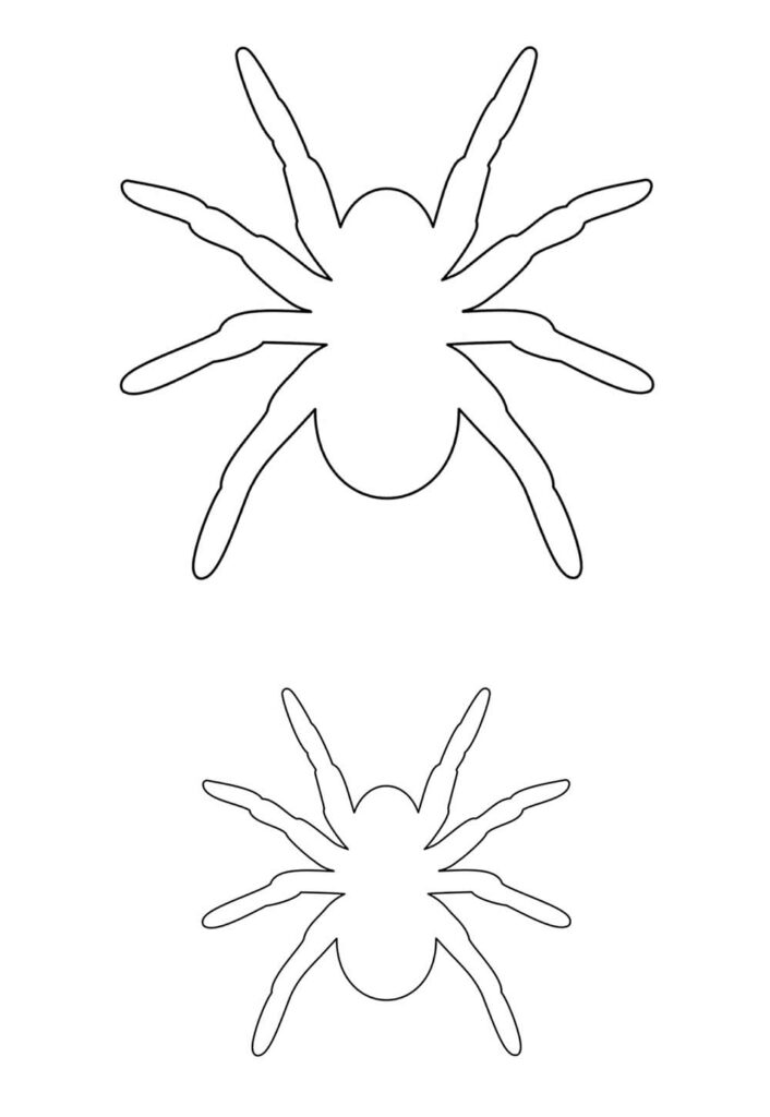 Molde de Aranhas