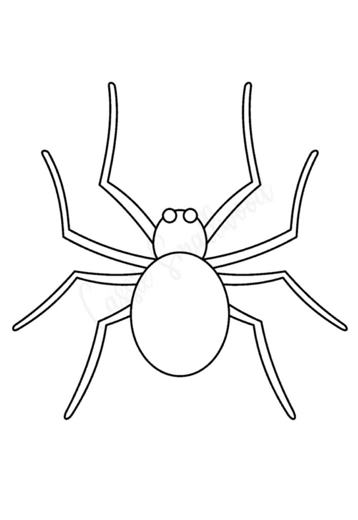Molde de Aranha