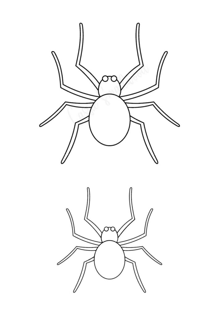 Moldes de Aranhas