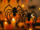 Moldes de Aranha