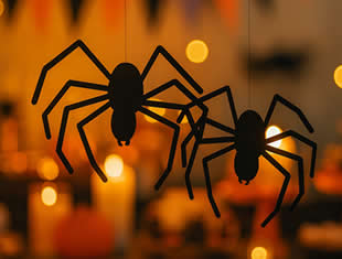 Moldes de Aranha