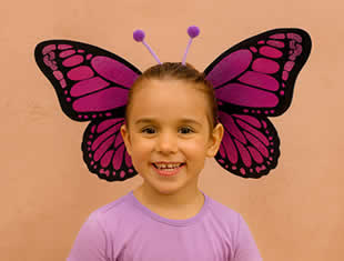 Molde de Asa de Borboleta - Cabelo Maluco