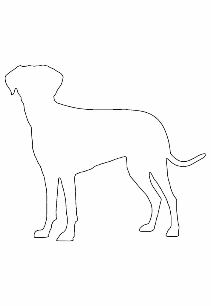 Modelo de Cachorro
