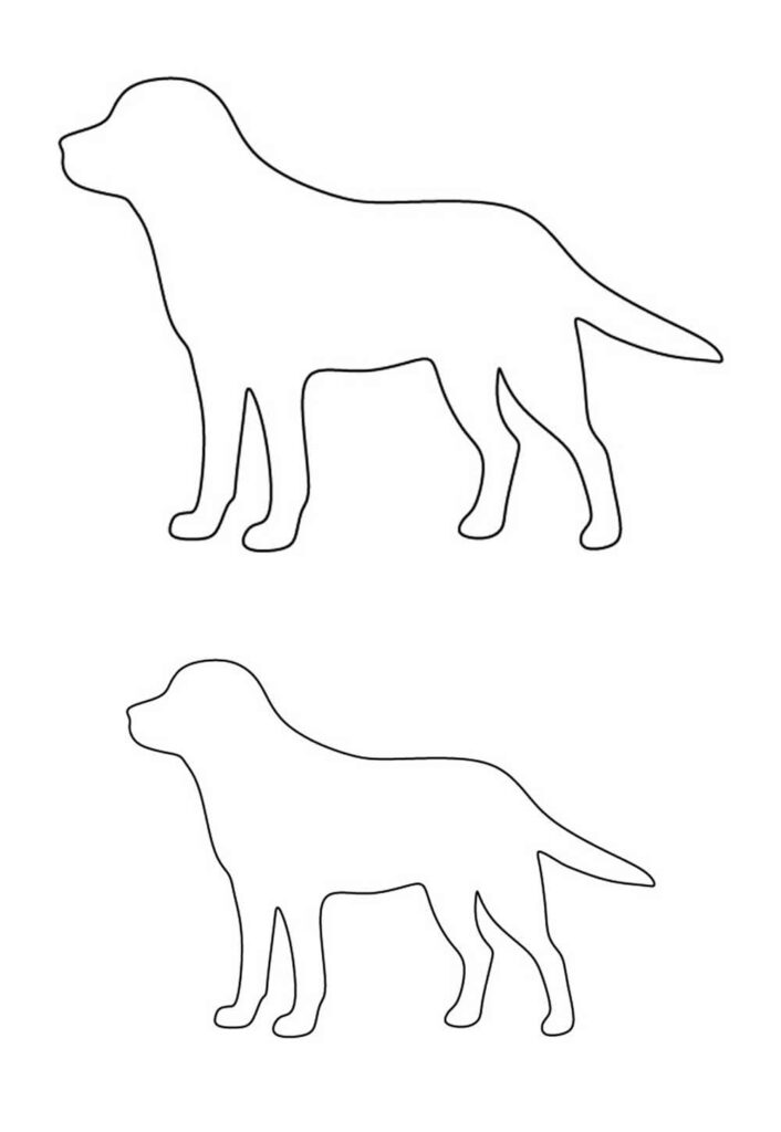 Molde de Cachorros