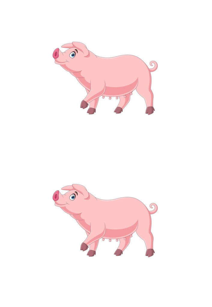 Porcos para Imprimir