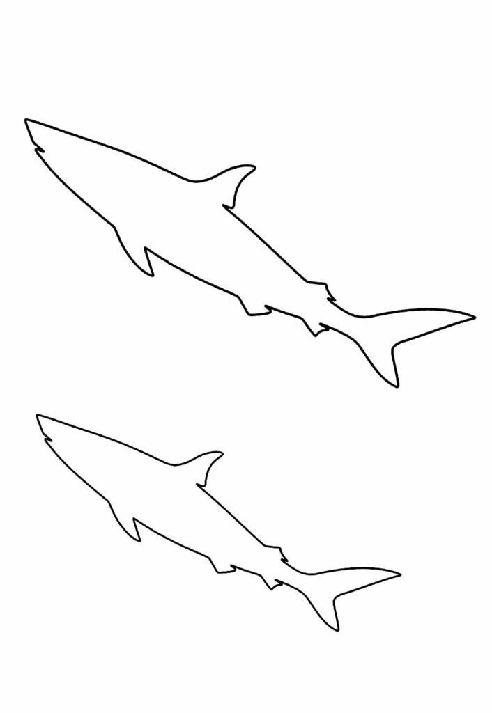 Moldes de Tubarão