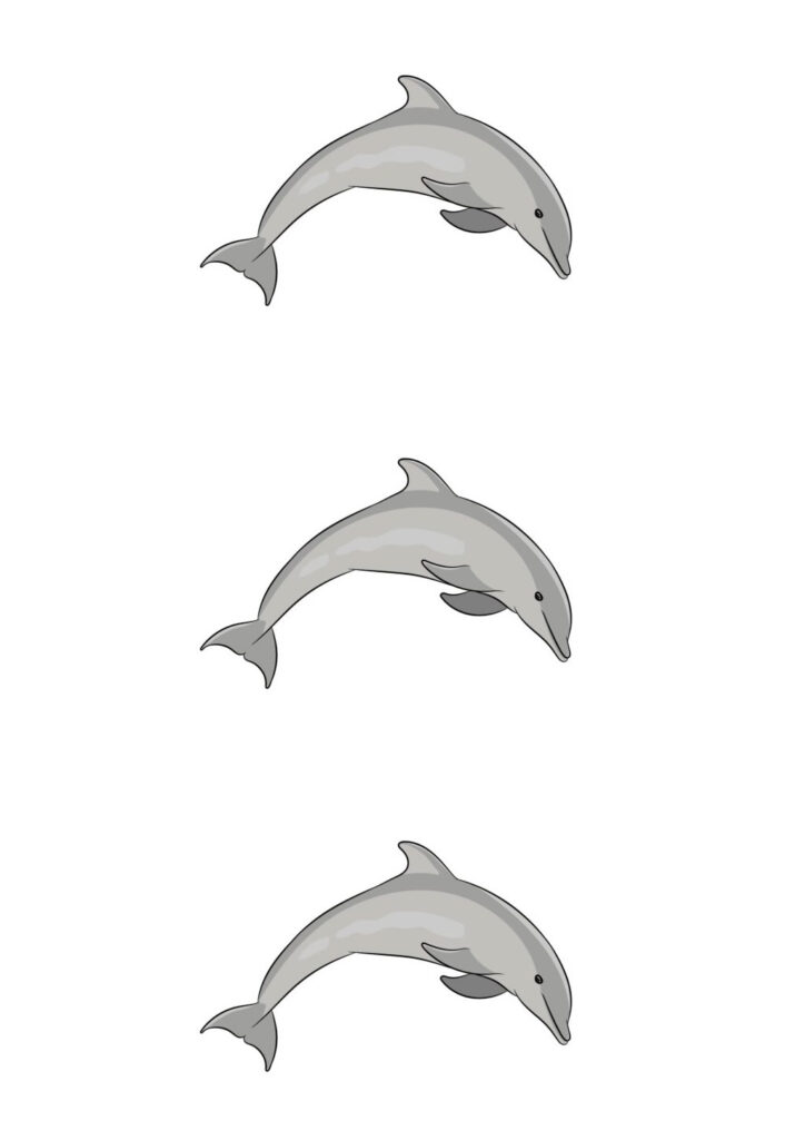 Golfinhos