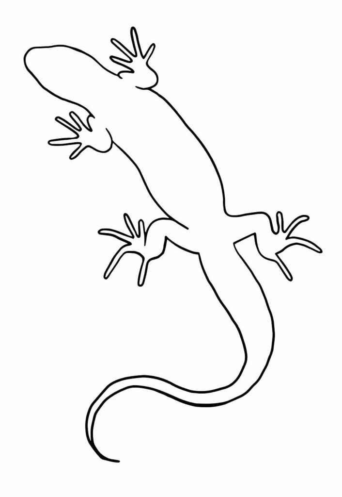 Molde de Lagarto