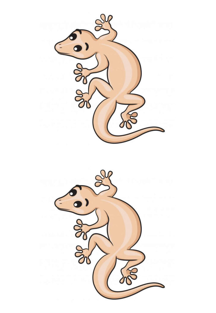Moldes de Lagartos