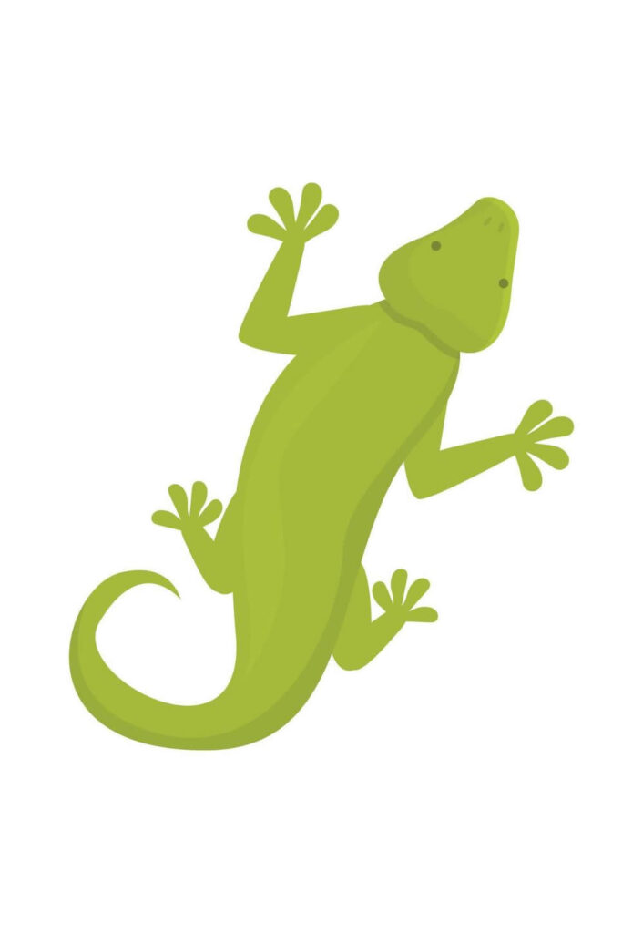 Molde de Lagarto