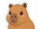 Moldes de Capivara